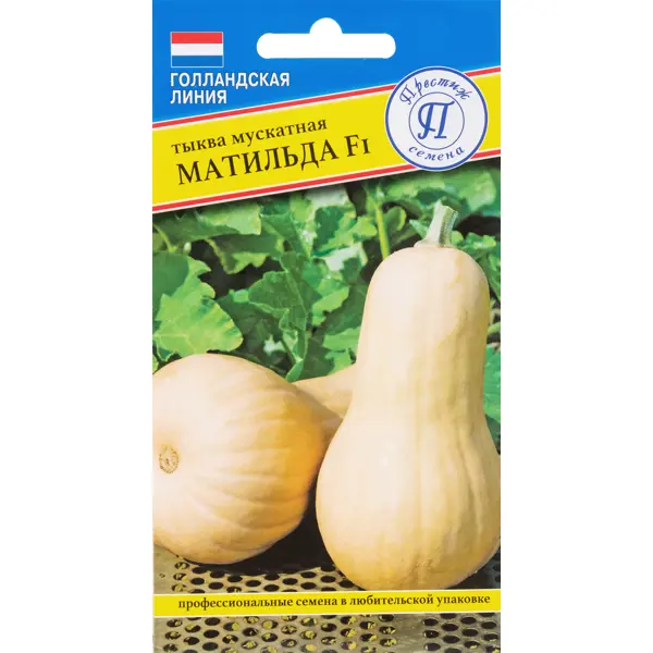 Семена Тыква мускатная «Матильда» F1 семена картофель семенной гала 2 кг