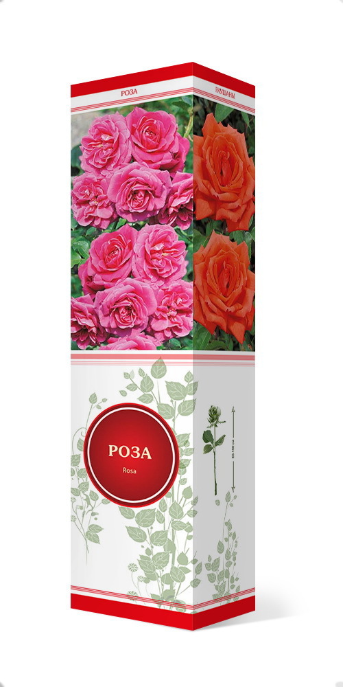 Роза плетистая Клайминг Америка h37 см в Москве – купить по низкой цене в интернет-магазине Леруа Мерлен