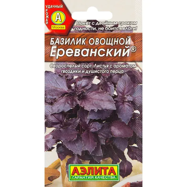 Базилик Фиолетовый Ереванский описание сорта, урожайность, фото и отзывы