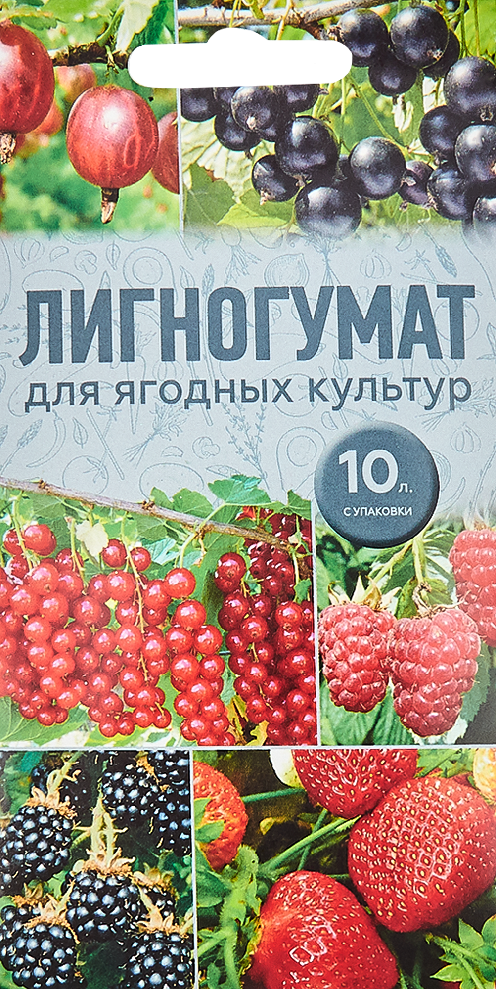 Удобрение Лигногумат для ягодных культур ✳️ купить по цене 20 ₽/шт. в  Ярославле с доставкой в интернет-магазине Леруа Мерлен