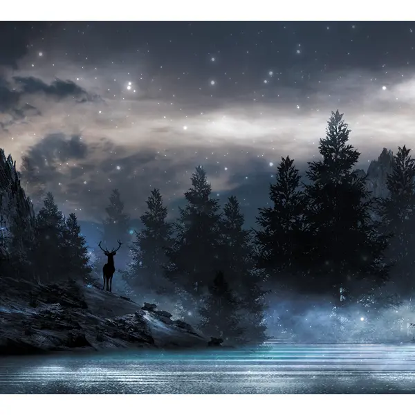 фото Фотообои туманная ночь флизелиновые, 300x270 см, l13-206 fbrush