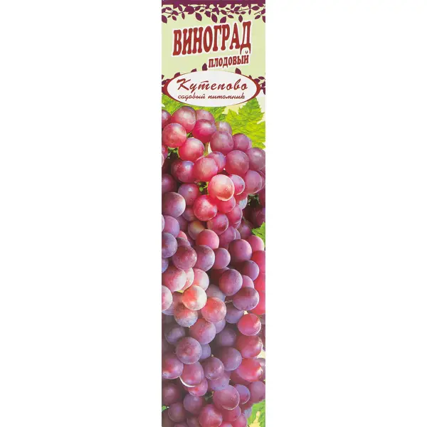 Виноград плодовый, в коробке грунт четыре сезона плодовый сад 42л