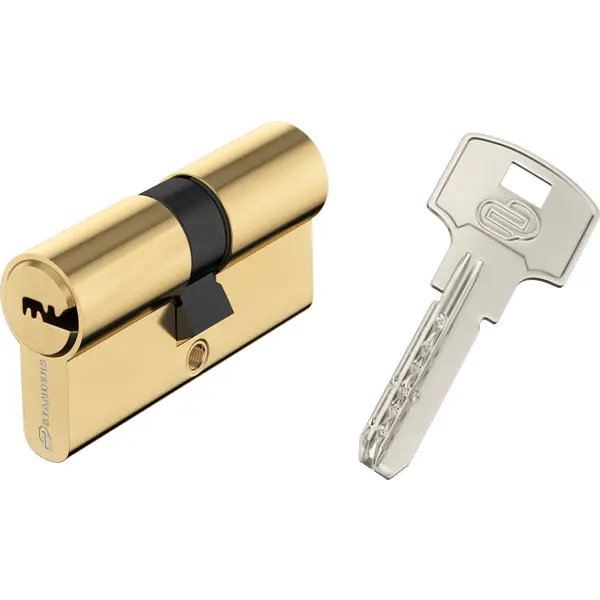 Цилиндр Standers TTAL1-3030GD, 30x30 мм, ключ/ключ, цвет латунь цилиндр standers ttal1 3030gd 30x30 мм ключ ключ латунь