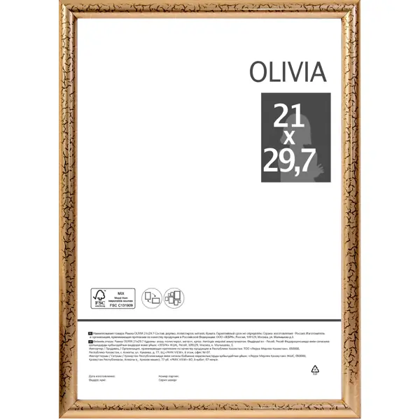 Рамка Olivia 21x29.7 см пластик цвет золото бумага для пастели fabriano тiziano 21x29 7 см 160 г 28 серый