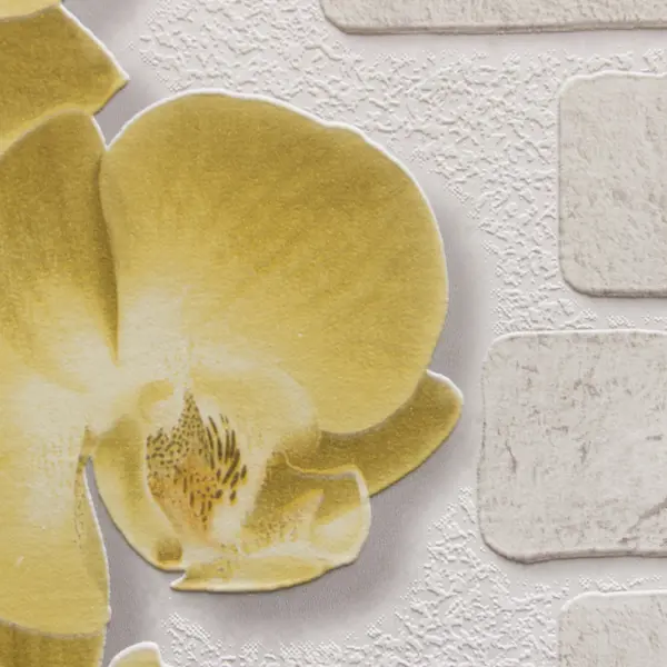 фото Обои виниловые аспект ру орхидея желтые 0.53 м 10107-23