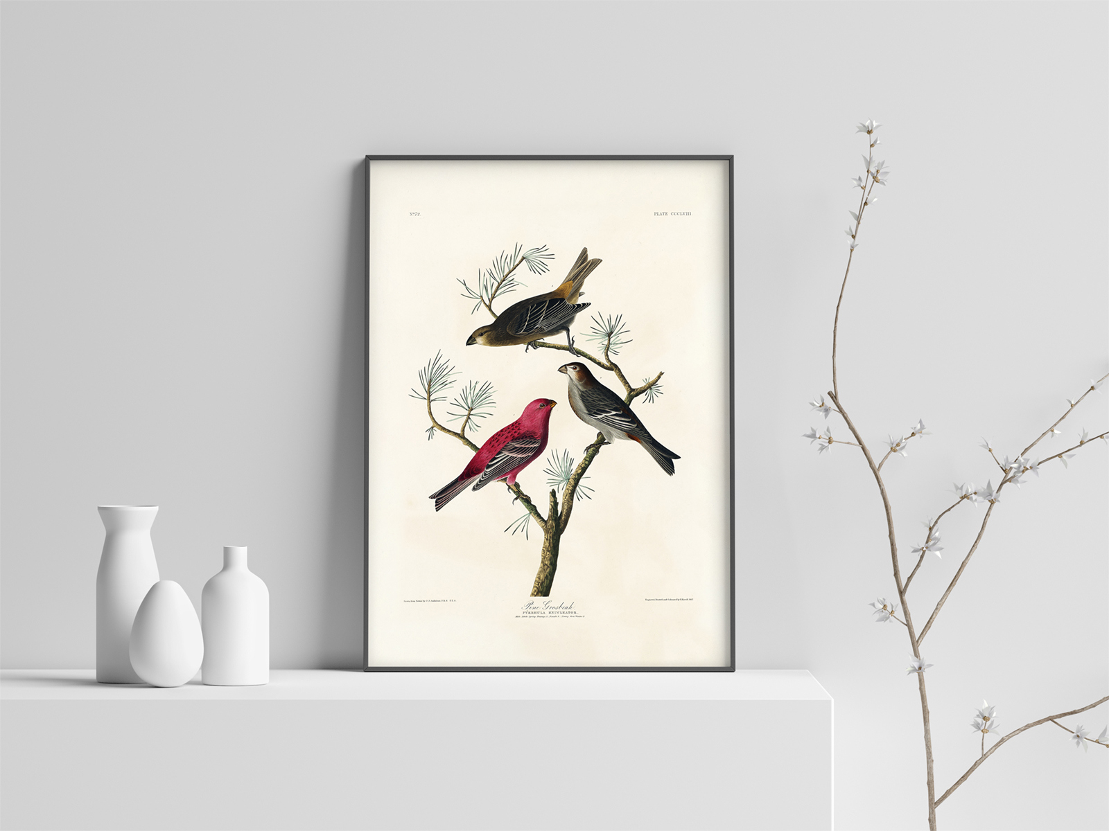 Постер птицы. Постеры с птичками. Интерьерные птицы. Живопись для интерьера - птички.