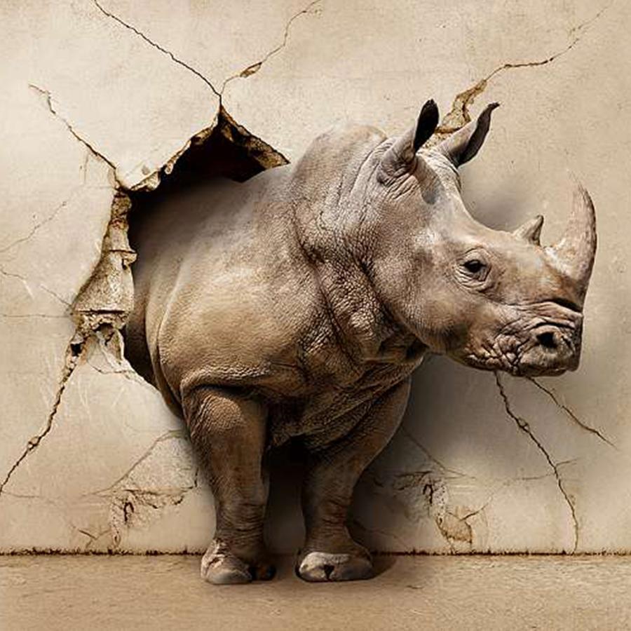 Дивино носорог