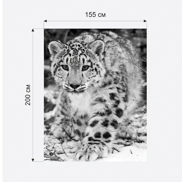 Бумажные фотообои бесшовные VEROL "Снежный барс" 3,1 м2, 200х155 см,, плотность 115 г/м в Москве – купить по низкой цене в интернет-магазине Леруа Мерлен
