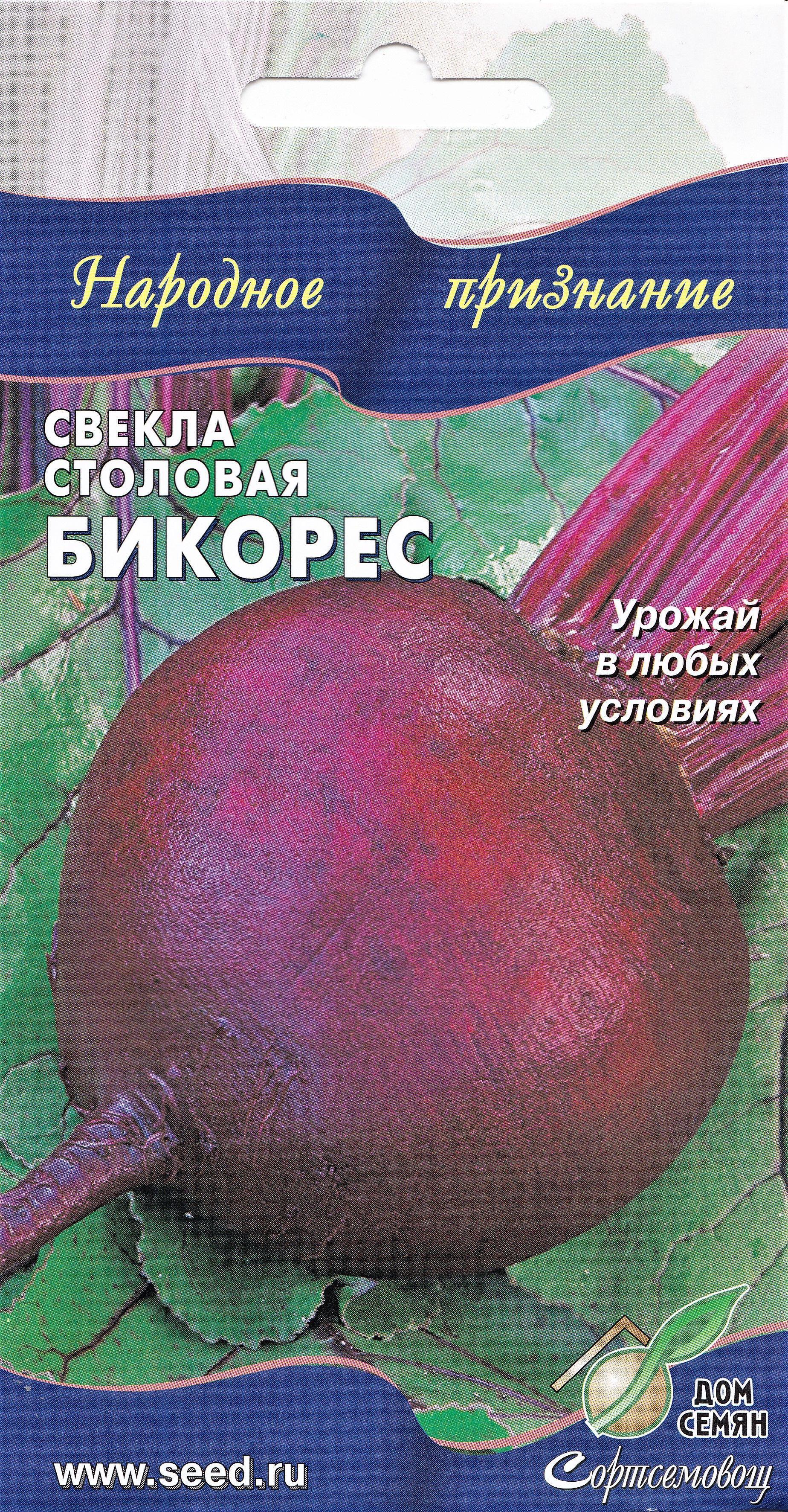 Семена АО ССПП СОРТСЕМОВОЩ Свекла Бикорес, Май Полутень ✳️ купить по цене  25 ₽/шт. в Ставрополе с доставкой в интернет-магазине Леруа Мерлен