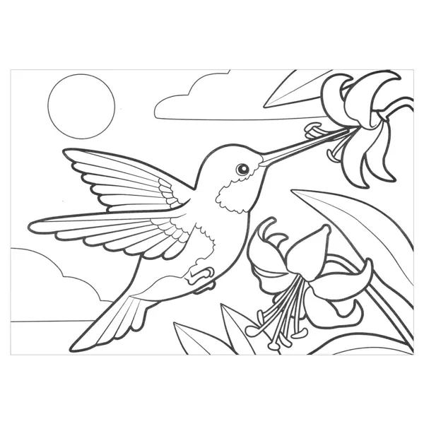 Раскраска антистресс колибри