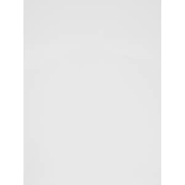 фото Фальшпанель для шкафа delinia id аша 58x77 см лдсп цвет белый
