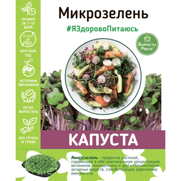 Набор для выращивания микрозелени капусты набор для выращивания микрозелени рукколы
