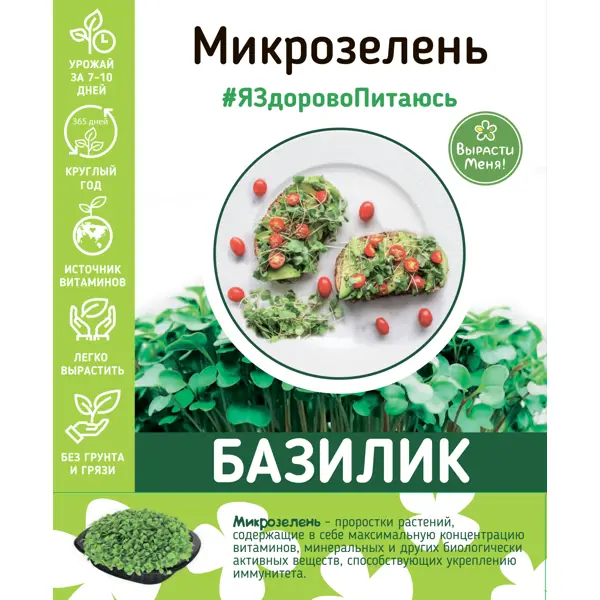 Набор для выращивания микрозелени базилика набор для выращивания микрозелени подсолнечник