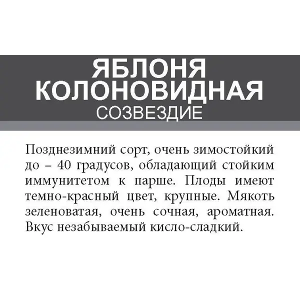 Яблоня колоновидная Созвездие ø20 h180 см в Москве – купить по низкой ценев интернет-магазине Леруа Мерлен