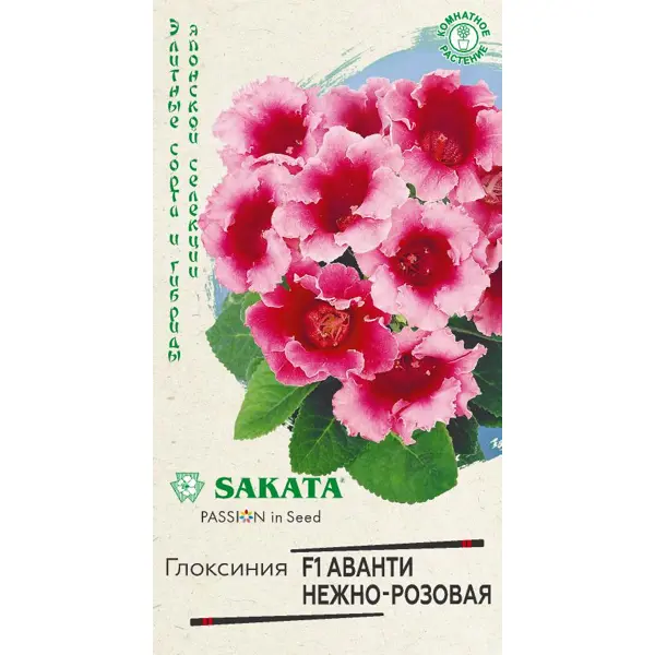 Глоксиния Аванти Саката нежно-розовая 5 шт. маргаритка бом бом розовая f1 10 шт