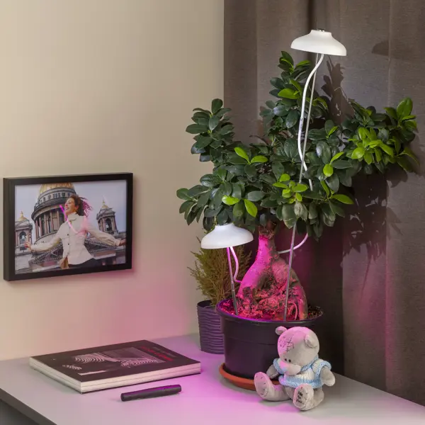 фото Фитосветильник светодиодный для растений штыковой 12 вт красно-синий спектр розовый свет цвет белый эра