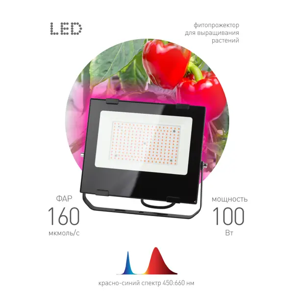 фото Прожектор светодиодный для растений эра 100 вт 1500к ip65 красно-синий спектр розовый свет влагостойкий