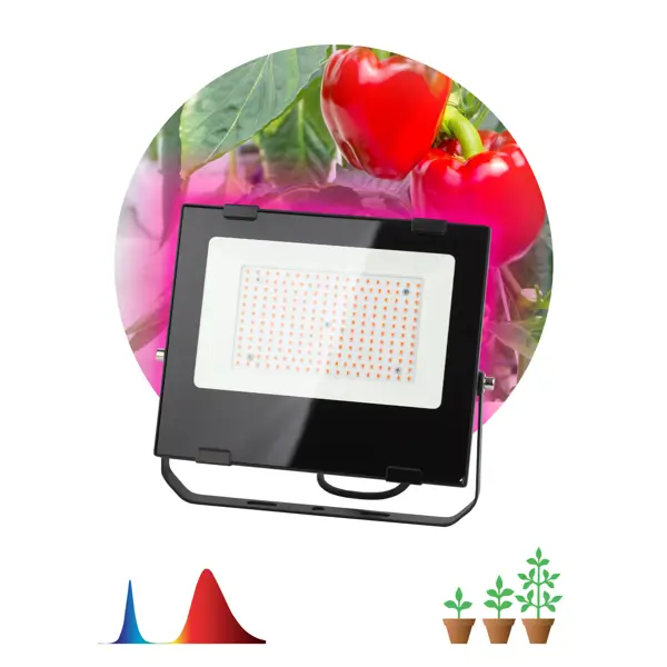 фото Прожектор светодиодный для растений эра 100 вт 1500к ip65 красно-синий спектр розовый свет влагостойкий