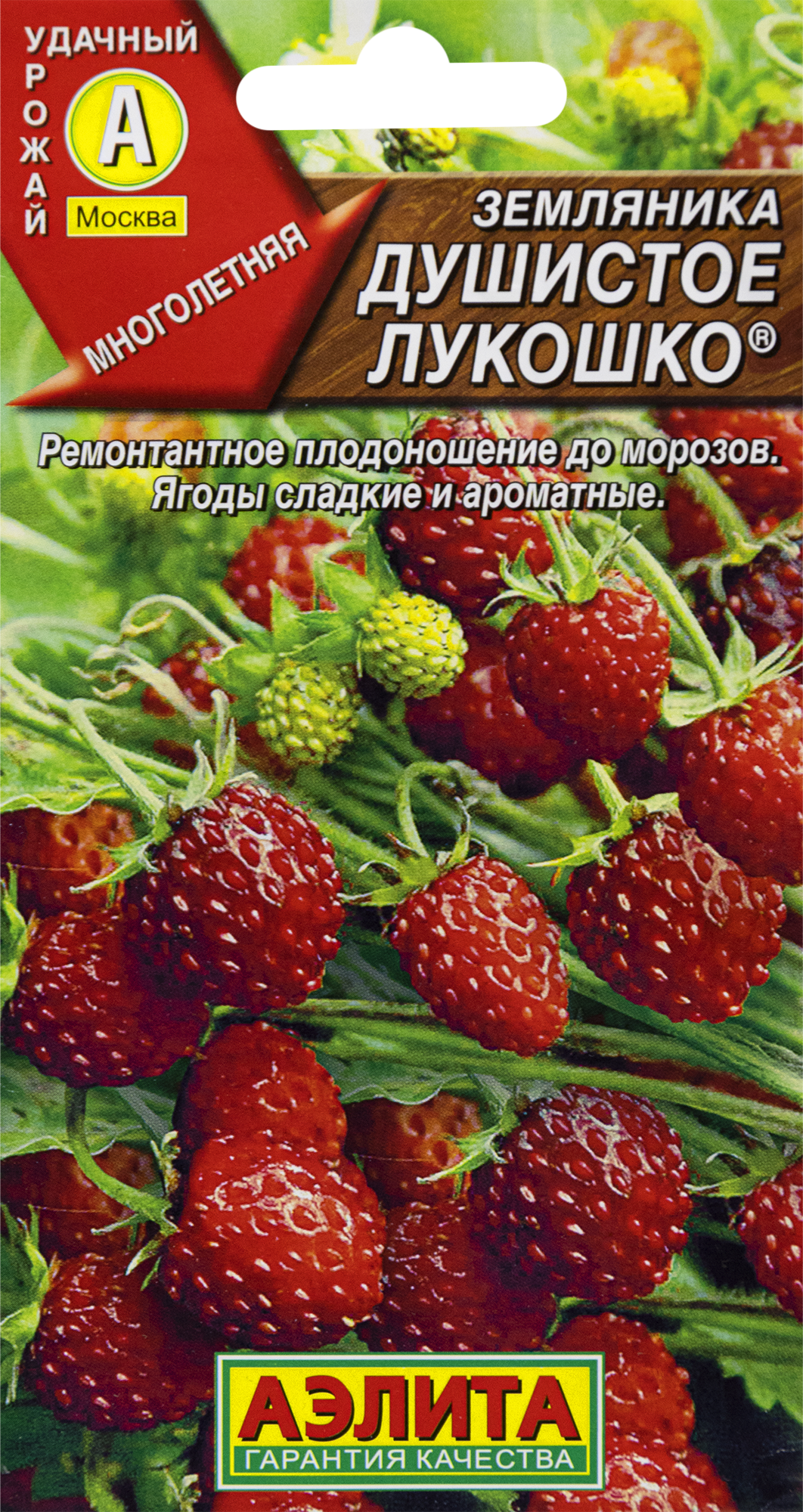 Семена земляники мелкоплодной. Земляника душистое лукошко 0,04гр Аэлита. Земляника Альпийская душистое лукошко. Земляника душистое лукошко ц/п Аэлита. Земляника ремонтантная гигант.