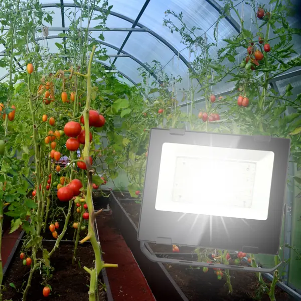 фото Прожектор светодиодный для растений эра fito 50 вт полный спектр нейтральный белый свет влагостойкий