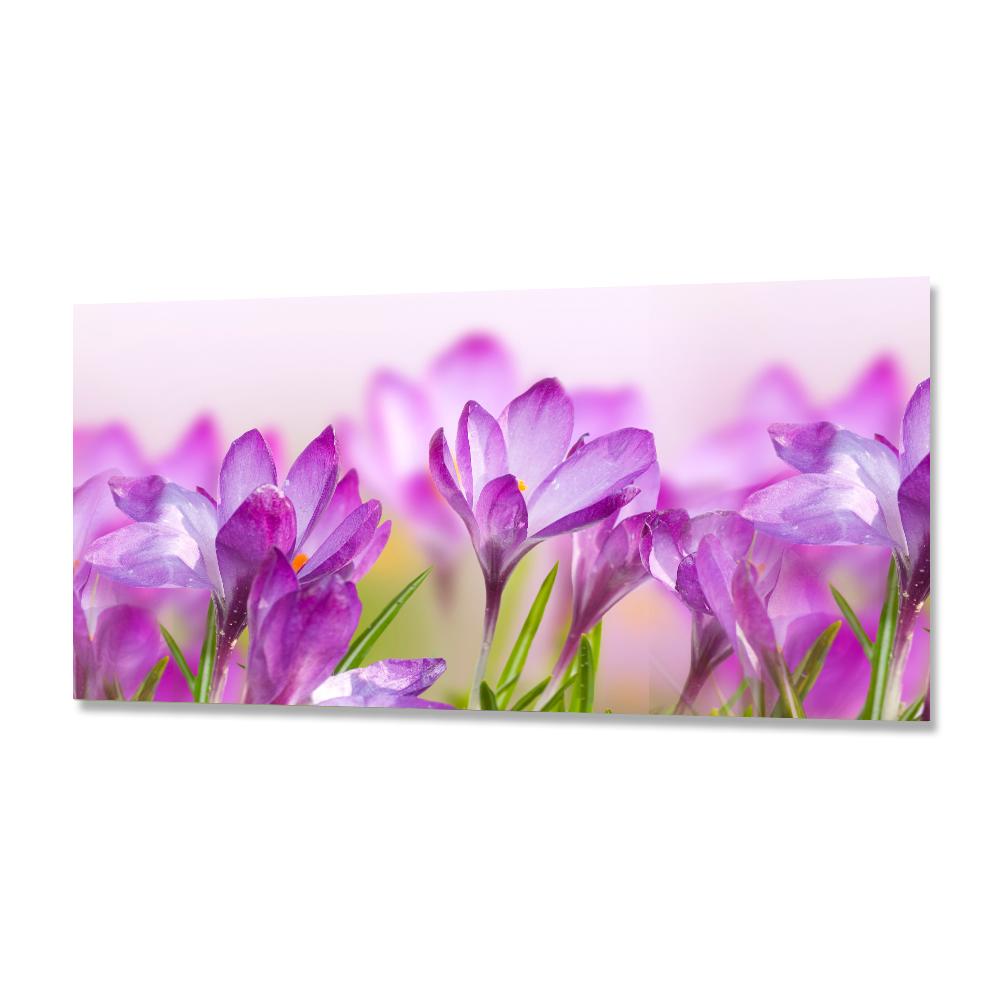 Flowers фф. Стеновая панель Фартукофф герберы 300x60x0.15 см ПВХ цвет разноцветный. Стеновая панель Фартукофф волна 300x60x0.15 см ПВХ цвет белый.