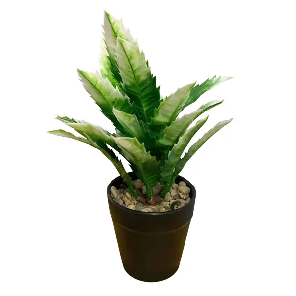 Искусственное растение в горшке Диффенбахия ø30 h25 см искусственное растение в горшке суккулент 16х15 см зелено серебристый полиэтилен
