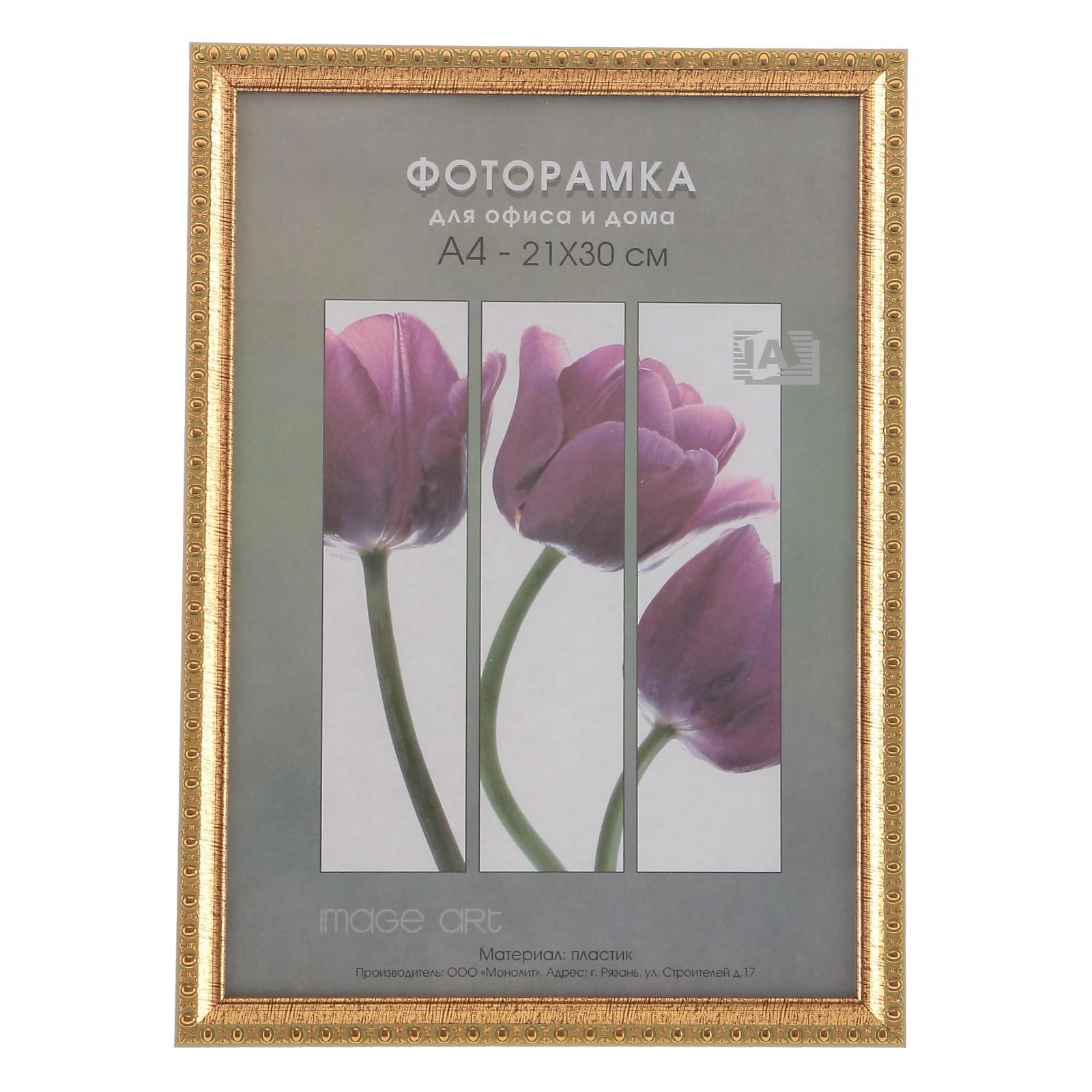 Рамка Keep memories 3595084, 21x30 см, пластик, цвет золотистый ✳️ купить  по цене 329 ₽/шт. в Новороссийске с доставкой в интернет-магазине Леруа  Мерлен