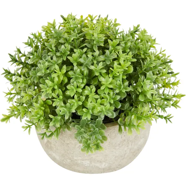 Искусственное растение в полукруглом горшке вид 2 растение декоративное в керамическом горшке ø 8x9 см