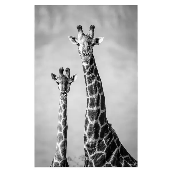Картина на холсте Жираф 70x110 см картина на холсте жираф 70x110 см
