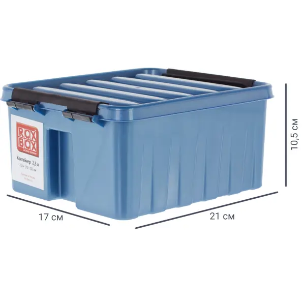 Контейнер Rox Box 21x17x10.5 см 2.5 л пластик с крышкой цвет синий тара ру контейнер полочный 300x234x140 синий 12370