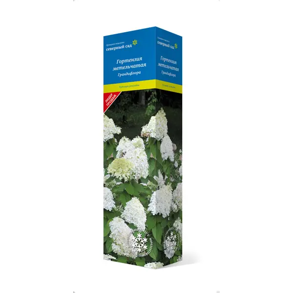 Гортензия Грандифлора ø9 h39 см florizel голубая гортензия средство для изменения а 50 г
