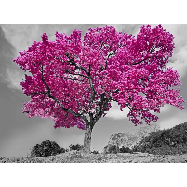Картина на холсте Розовое дерево 50x70 см сувенир дерево кошка с бантом ушки в горошек 30х10х3 см