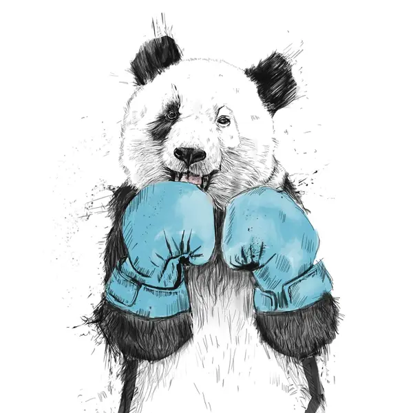 Картина на холсте Панда в боксе 40x50 см