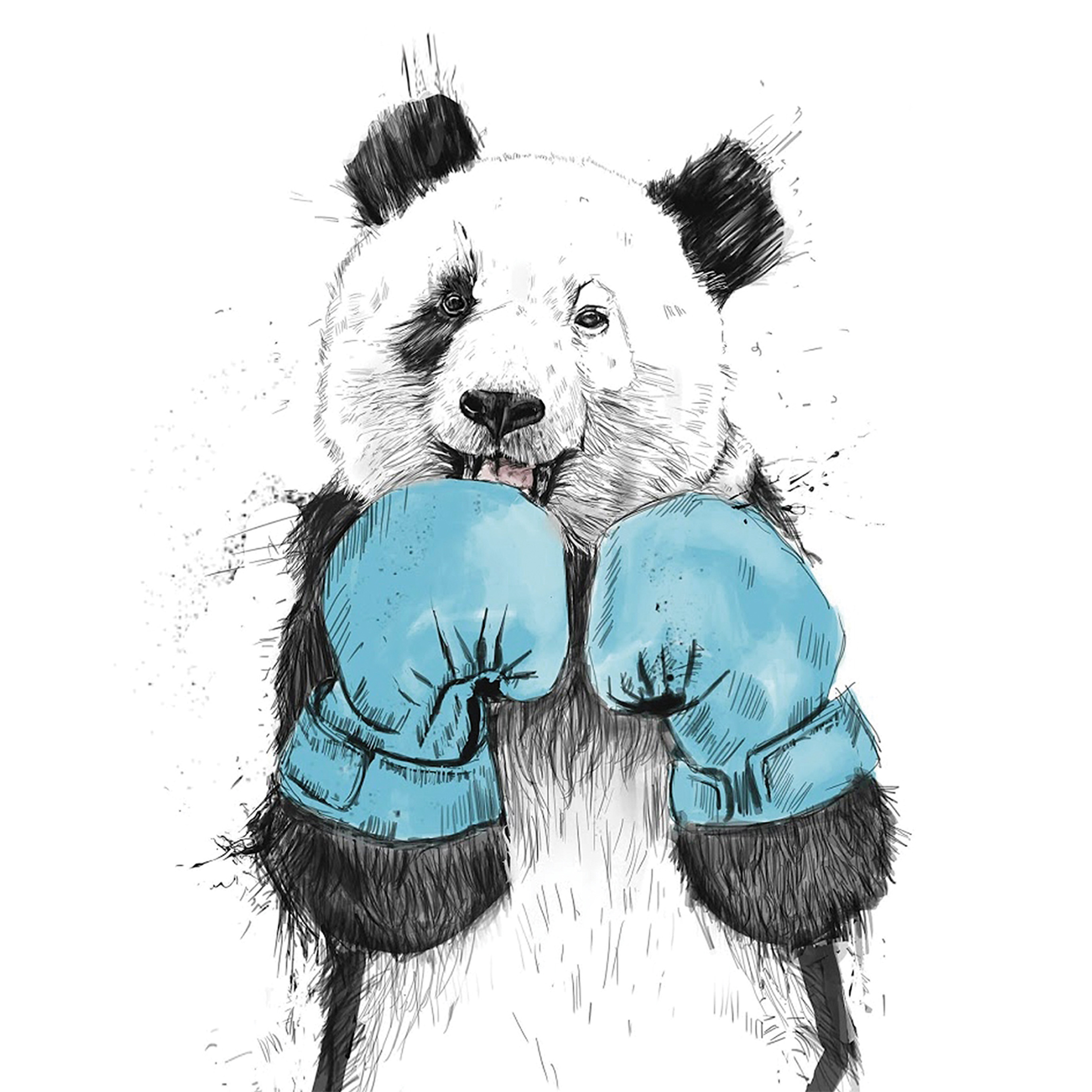 Панда в боксерских перчатках