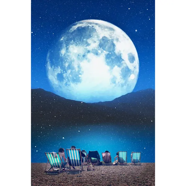 Картина на холсте Постер-лайн Лунный пейзаж 40x60 см картина на холсте постер лайн африканка 2 40x60 см