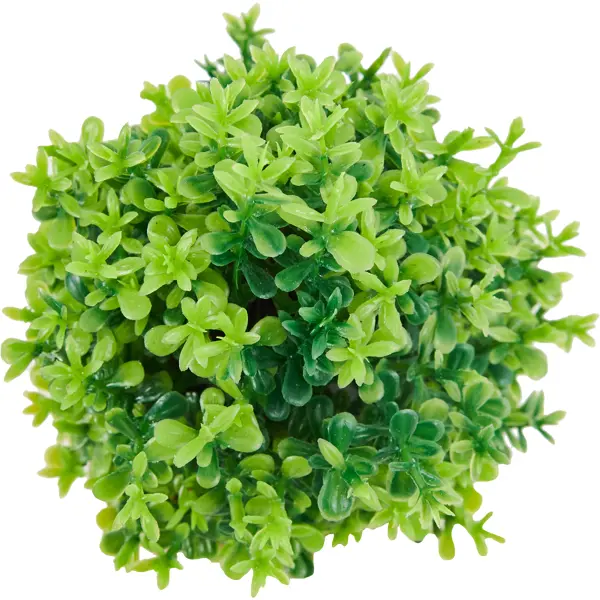 фото Искусственное растение декоративно-лиственное зеленый ø 12 см пвх без бренда