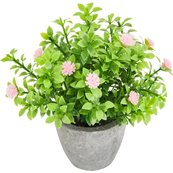 Искусственное растение оксалис 9x9 см розовый ПВХ искусственное растение в горшке азалия h30 см розовый