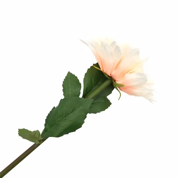 Искусственное растение Георгина Astra&Craft HY125-43024 60см D  Кораллово-розовый в Кемерове – купить по низкой цене в интернет-магазине  Леруа Мерлен