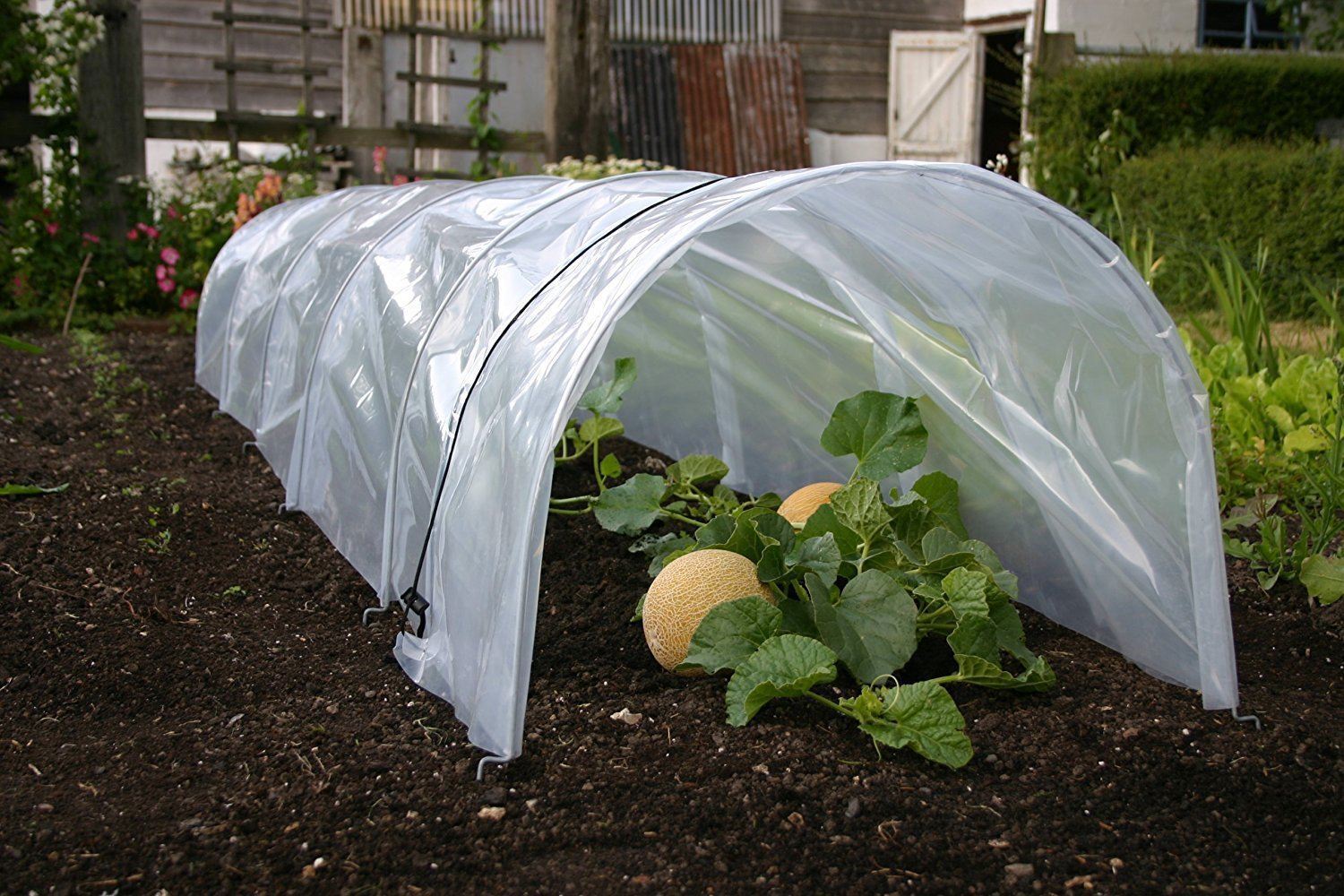 Материал для теплиц. Мини ГРИНХАУС парник. Мини теплица Greenhouse. Теплица парник огуречник. Парник Агротекс.