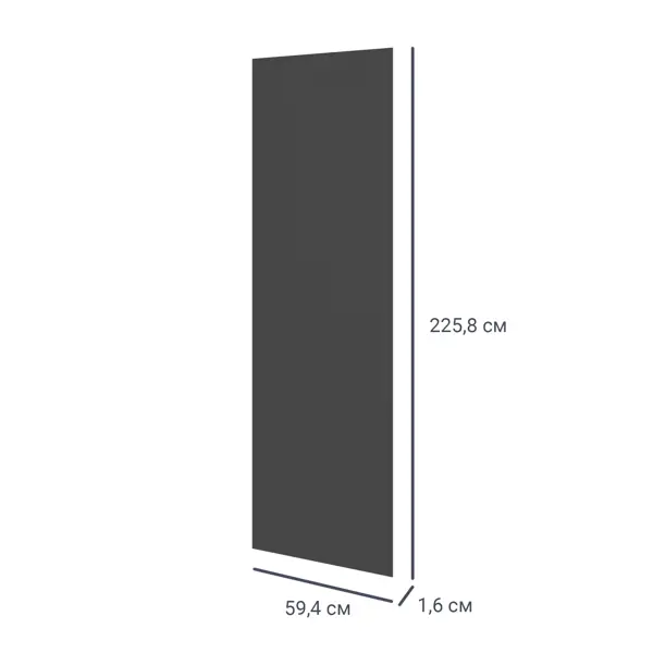 Дверь для шкафа Лион 59.4x225.8x1.6 цвет графит дверь для шкафа лион 59 4x225 8x2 3 серый с зеркалом