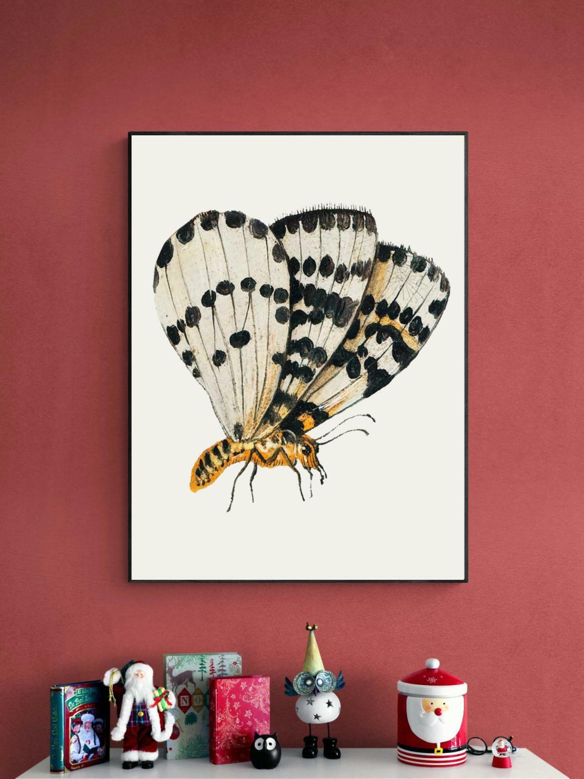 Постер бабочки