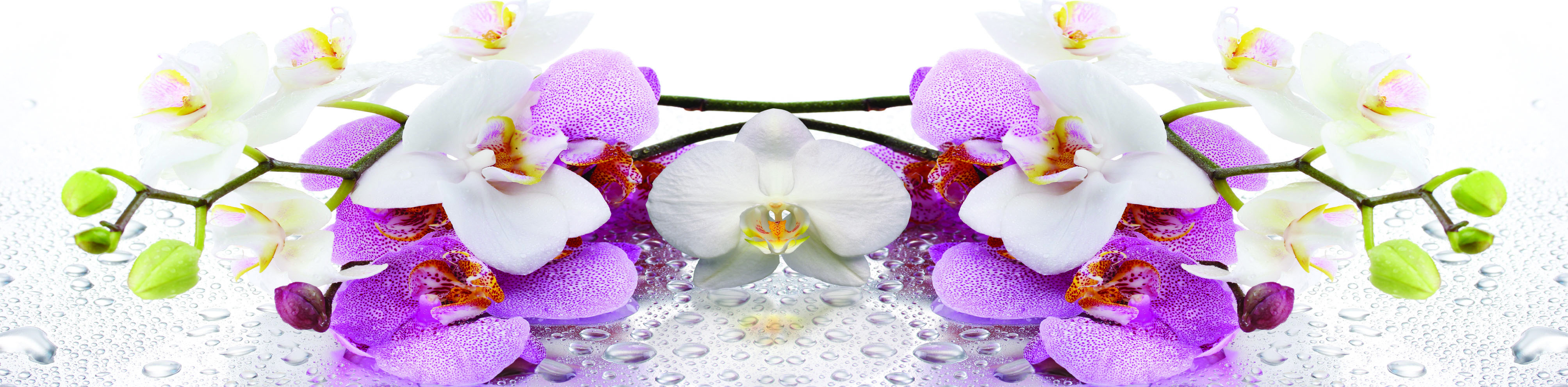 Фартук орхидея