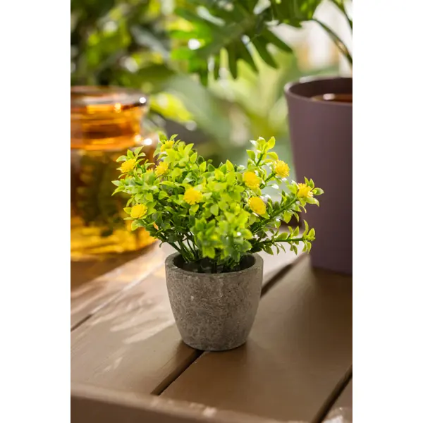 фото Искусственное растение оксалис 9x9 см желтый пвх без бренда