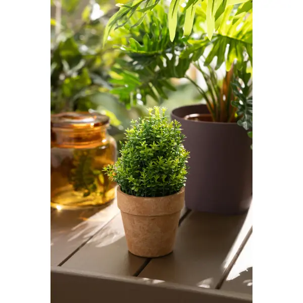 фото Искусственное растение декоративно-лиственное зеленый ø 12 см пвх без бренда