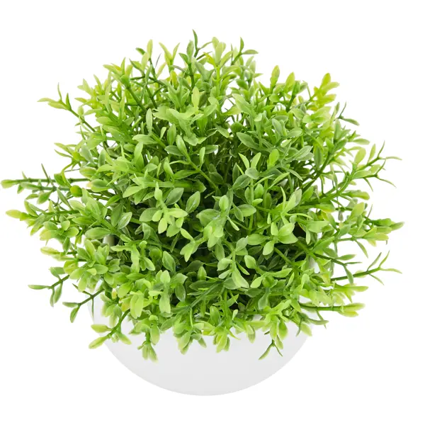 Искусственное растение Самшит h13 см растение искусственное лаванда 30 см зелёный