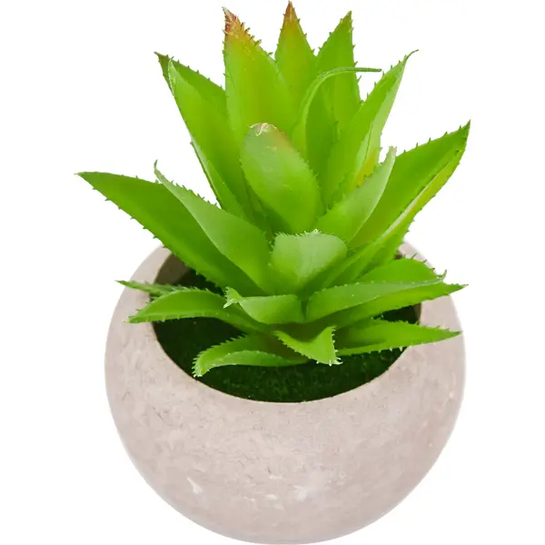 Искусственное растение Алое h15 см крем мыло shalet зеленый чай и алоэ вера витаминизирующее 5 л