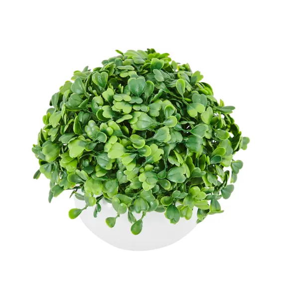 Искусственное растение Дисхидия h13 см растение искусственное лаванда степная 35 см зелёный