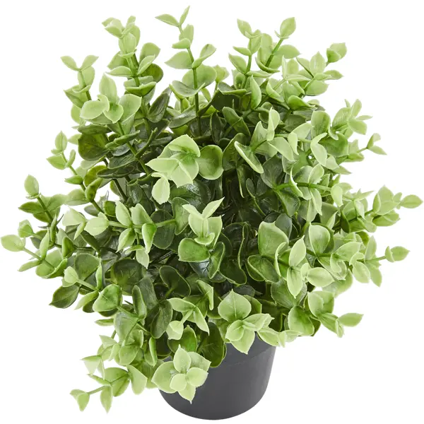 Искусственное растение Тимьян h24 см искусственное растение подвесное плющ 95 см