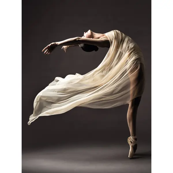 Картина на стекле Балерина 40x50 см картина на стекле сибирская лайка 40х40 см