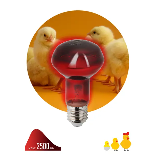 Инфракрасная лампа Эра для животных ИКЗК Е27 230-60 R63 Е27